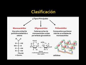 ESTRUCTURA DE CARBOHIDRATOS 2DA PARTE