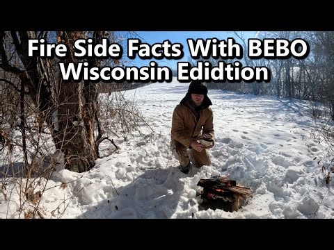 Fireside Facts With BEBO! Wisconsin Edition