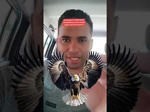 Morena lives near your house. She's hiding the truth. She doesn't want you to know.