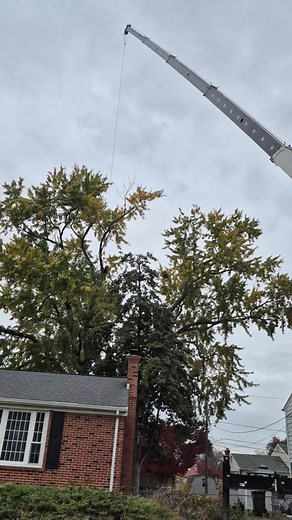 Dustin Brown on Reels | Facebook