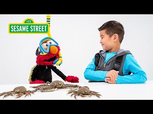 Sesame Street: Elmo and Kids Meet a Marine Biologist featuring @hihokids - Videos For Kids