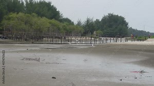 a group of people hunting for shellfish on the seashore