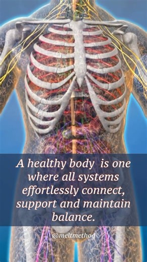 When health experts talk about a healthy body, they often focus on factors like predefined height, muscle-to-fat ratio, and weight, taking into account diet, fitness, and genetics. However, limiting health to just nutrition, exercise capabilities, and body fat offers a narrow perspective. To us, a healthy body is one where all systems effortlessly connect, support one another, and maintain balance — structurally, neurologically, and chemically. When your body functions as an integrated system, m