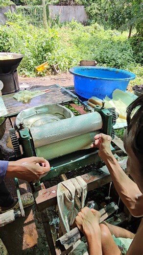 New beehive. | Funny beehive