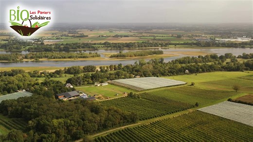Avec Les Paniers Bio Solidaires, recevez chaque semaine un panier de fruits et légumes bio de saison, en direct des producteurs des Pays de la Loire 🧺 L’inscription, simple et rapide, se fait en ligne 🥕 Une initiative qui réunit tous les ingrédients pour une consommation saine, responsable, et locale ! 📍 245 points relais dans les Pays de la Loire ! | Nantes maville.com
