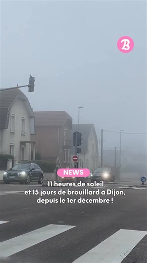 Le Bonbon Dijon on Instagram: "Que de grisaille à Dijon en ce mois de décembre… ☁️ Depuis le début du mois, la station météo de Dijon-Longvic n’a enregistré que 11 heures de soleil, soit moins d’une heure par jour, et déjà 15 journées marquées par le brouillard. Autant dire que le soleil se fait désirer. Courage, les Dijonnais, les jours rallongent bientôt 🌫️✨ Source : La Chaîne Météo"