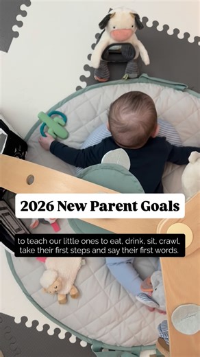 Babies”R”Us on Instagram: "New year, new goals. 🎉 Find the essentials that support every milestone at your local Babies “R” Us at Kohl’s. 💜"