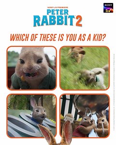 1K views · 18 reactions | Brace your inner child and make life full of adventure, games, friendship and happiness! Wishing everyone a very Happy Children's Day. Watch Peter Rabbit 2 for all the entertainment | Sony LIV | Facebook
