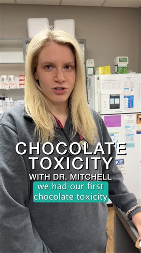22 reactions · 4 comments | Chocolate Toxicity in Pets  Did your...