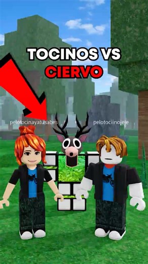 These PELOTOCINOS thought it was THE DEER😰