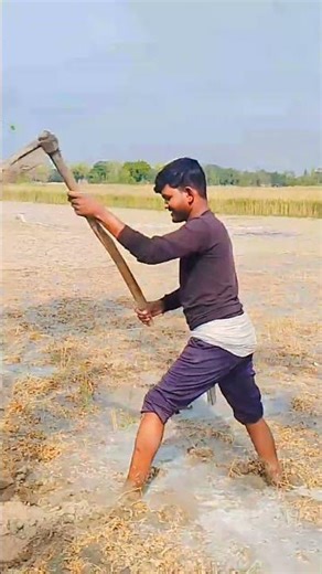 23 मार्च 2026