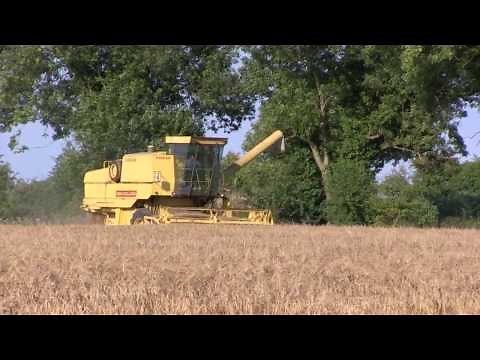 Combine Harvester at work