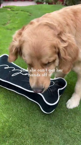 Personalized Dog Bone Shaped Pillow – Custom Cotton Velvet Pet Name Cushion – Handmade Gift for Dog Lovers – Decorative Pet-Themed Home Decor