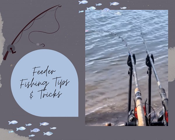 Feeder Fishing Tips & Tricks
