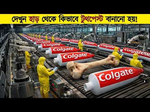লাখ লাখ পশুর হাড় ফ্যাক্টরিতে কী কাজে লাগে? টুথপেস্ট কিভাবে বানানো হয়?