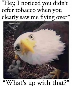 Native Outlawz on Reels