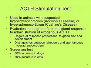 MBC Vet Tech Online Review 3.3 - Clinical Chemistry III