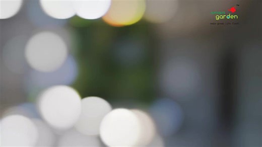 Outdoor Wall Garden Fountain | Smart Garden | Facebook