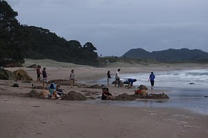 Diggin' it at Hot Water Beach. | Hot Water Beach TOP 10 Holiday Park