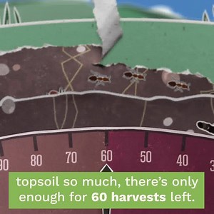 2.2K reactions · 579 shares | In 60 years, we may not have a harvest for farmers to grow our food. | Grass Roots Farmers' Cooperative | Facebook