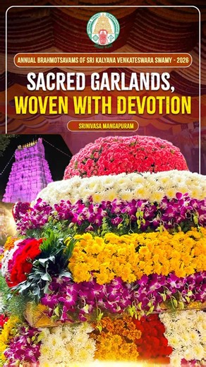 Sacred garlands, woven with devotion, adorned the divine during the Annual Brahmotsavams of Sri Kalyana Venkateswara Swamy at Srinivasa Mangapuram. Each flower offered with faith, each strand tied with reverence — a vibrant expression of bhakti in full bloom. #brahmotsavams2026 #srinivasamangapuram #ttd | Tirumala Tirupati Devasthanams