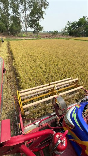 #นายจ้างผมเป็นชาวนา #รถเกี่ยวข้าวกำแพงเพชร