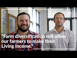 Sustainable Farming In The Tobacco Industry: Why It’s More Important Than Ever (2021)