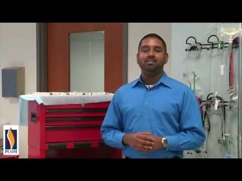 Physician Assistant Studies Student on PCOM’s PA Program | PCOM