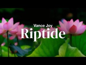 Vance Joy - Riptide | Lyrics