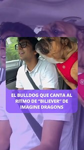 10K views · 70 reactions | 殺Un bulldog sorprendió en redes sociales al sincronizar perfectamente la canción Believer de Imagine Dragons con su dueño. Los usuarios de redes sociales se enternecieron con la perfecta forma de aullar y el ritmo que maneja el perrito... | El Tribuno Salta | Facebook