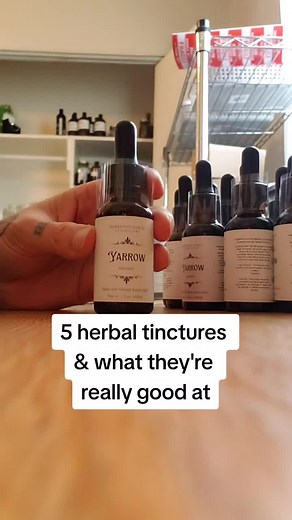 Top 5 Herbal Tinctures for Health and Wellness