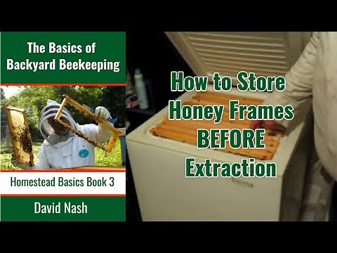 How to Store Honey Frames Before Extraction