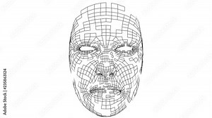 Digital lines create face shape, digital concept