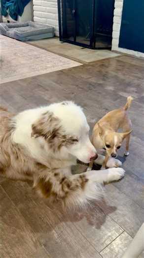 When her brother got stung by a wasp