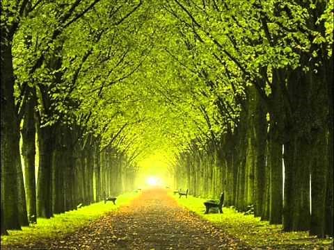 "His Hand In Mine" - Carroll Roberson