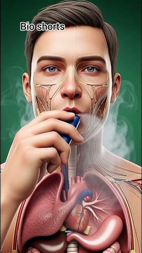 Vape is dangerous #bodyfacts