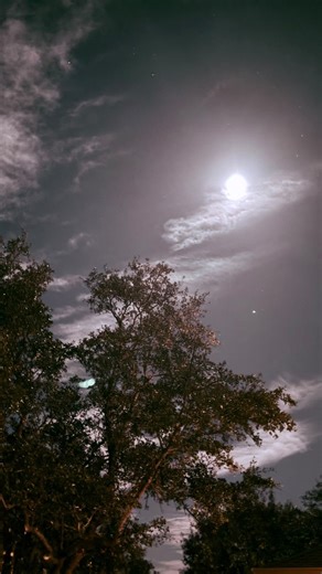 𝓼𝓱𝓱 on Instagram: ". . . . . . . . . . [Literature, Reading, Love, Poetry, poems, writer, readers, poets, writings,Writing Community, Storytelling, Creative Process, Books, Writing] #poems #poem #poets #poetry #writergram #writingcommunity #writing #writers #neilperry #read #reading #poemsociety #author #bookstagram #foryou #foryoupage #reels #sadlines #unsaidwords #explorepage #viral #fyp #trendingreels #quotes #relatable #writer #writersofinstagram #poetsofinstagram #poetrycommunity"