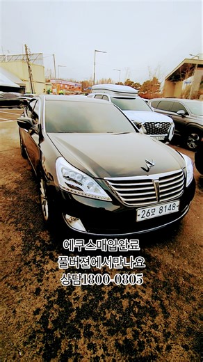 Equus purchase complete!! See you in the full version!!