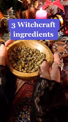 3 Powerful Witchcraft Herbs and How to Use Them