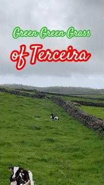 The Green Green Grasses of Terceira Azores