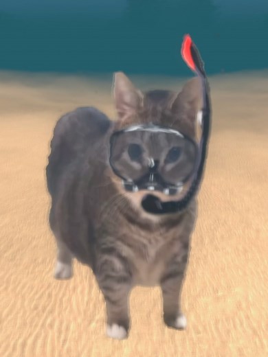 OIIA Cat Diving Gameplay in Garry's Mod