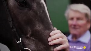 408K views · 10K reactions | The Queen’s love of horses, dogs, and animals is one of her many passions that will carry on in her memory. Reflect on Queen Elizabeth’s legacy with a In Memoriam special of Elizabeth, airing all day Saturday. | Smithsonian Channel | Facebook