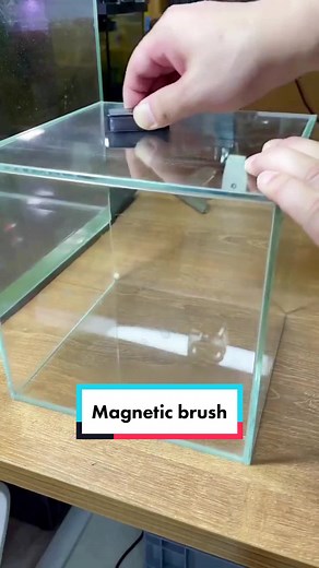 Some fans asking how I clean the tank with algae, that’s my way- using the magnetic brush#aquariumtiktok #fishtankcleaning #aquariumhobby
