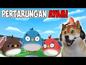 TRIO KOCAK JADI AYAM LUCU YANG BERANTEM! - Feather Party Indonesia