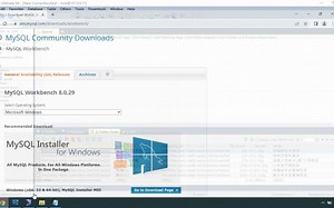 如何使用Workbench生成特定数据库的E-R图