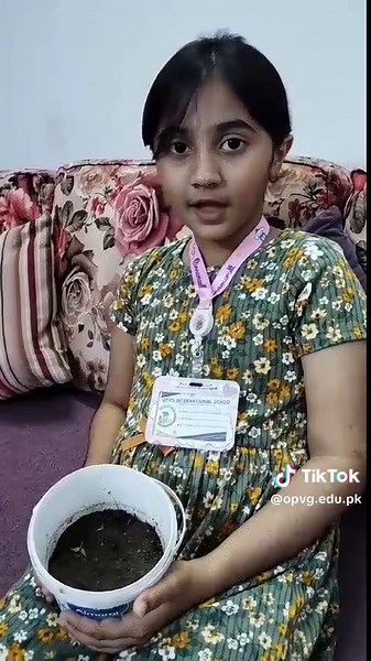 Growing Tomato Plants: A Grade 3 Science Project