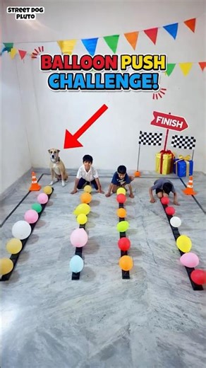 Dog Vs Humans Dog Pop Challenge #doglove #funny