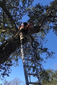 70K views · 994 reactions | Firefighters rescue dog stuck in a tree! ❤️ ViralHog | MetDaan Animals | Facebook