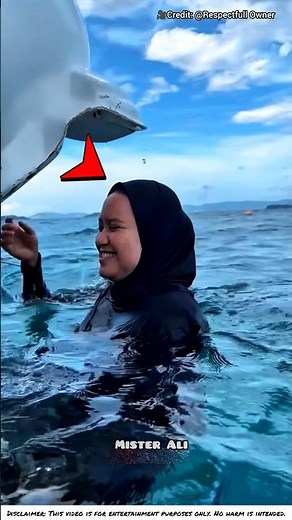 🌊 Dream Underwater Adventure 🐠