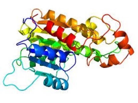 🎥 DAY 1 | Foundations of Protein Modelling